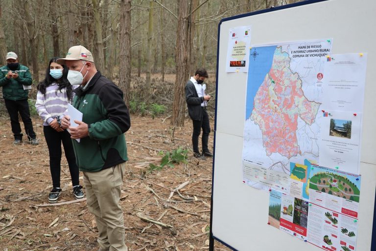 Protección y Prevención de los incendios forestales